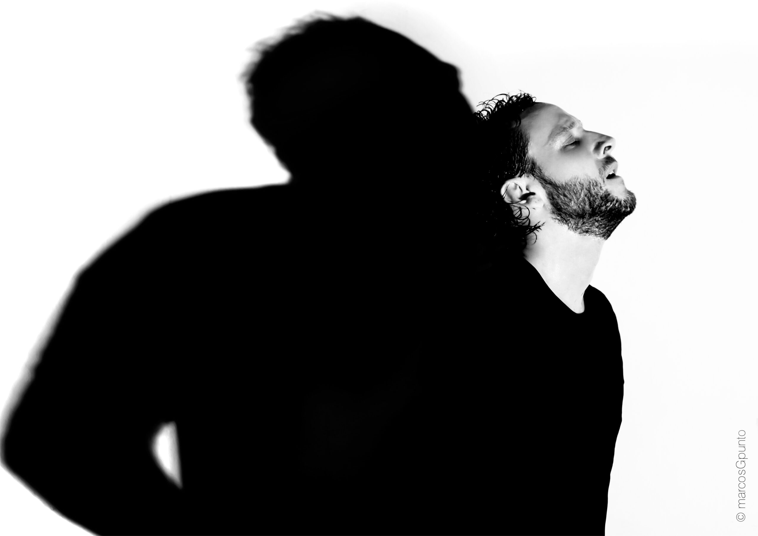 Manuel Liñán Flamenco Barcelona Show Best Flamenco Barcelona Tickets