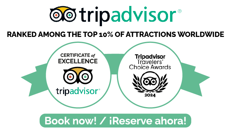 TripAdvisor awarded