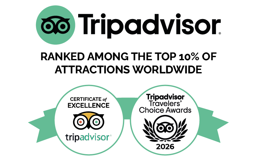 TripAdvisor awarded